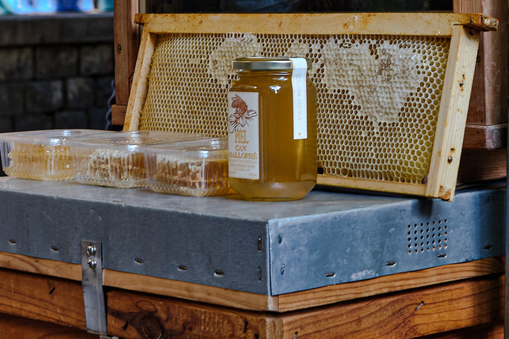 Passejada entre abelles i paisatge a Subirats